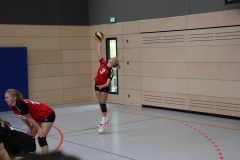 IMG_5286-min