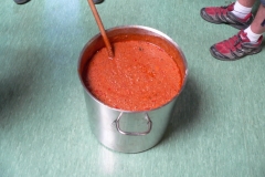 P1200295